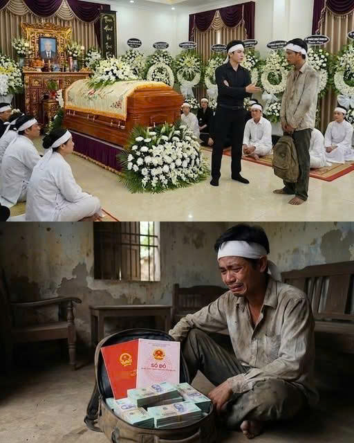 Ông nội …cho chú út 1 căn nhà và 2 mảnh đất, trong khi bố tôi là con cùng cha khác mẹ lại chẳng được một chút gì