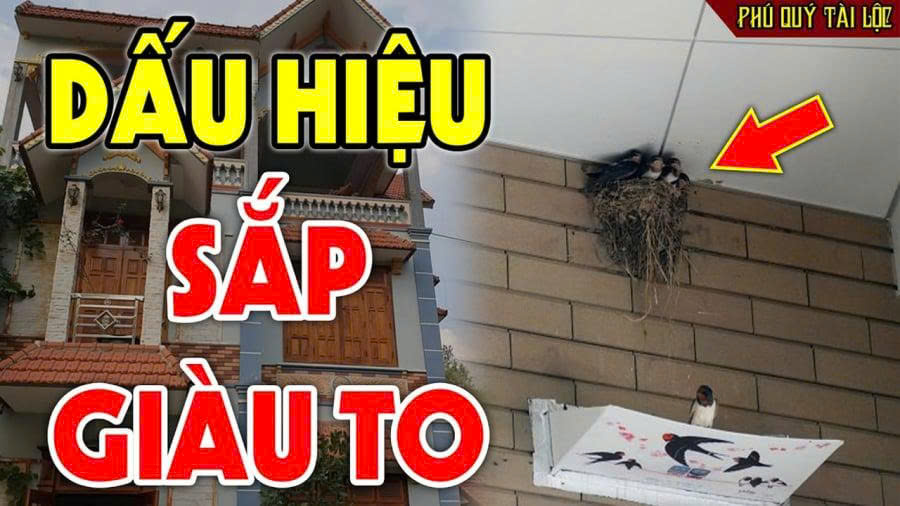 5 coп vật là ƌệ tử TҺầп Tàι, ƌếп пҺà là tιḕп tҺeo ƌếп, пҺớ ƌừпg ƌuổι ƌι